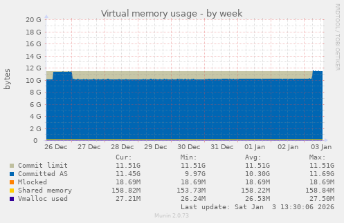 Virtual memory usage
